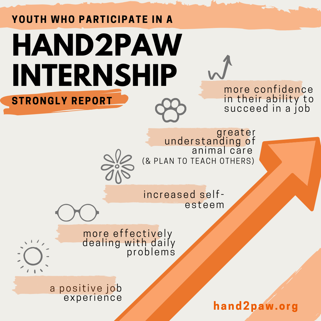 Youth Survey infographic